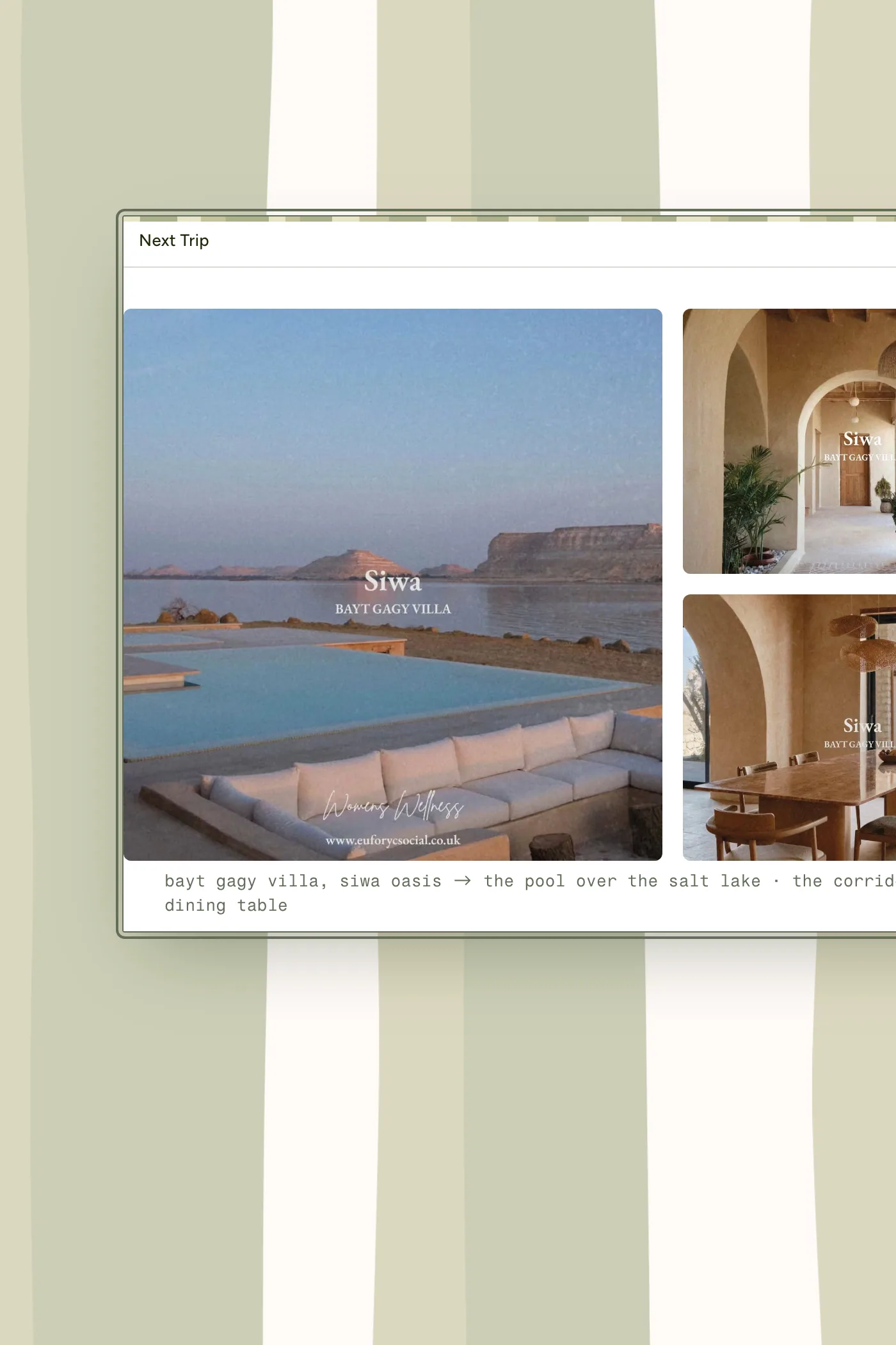 A close-up of Euforyc Social's site.
